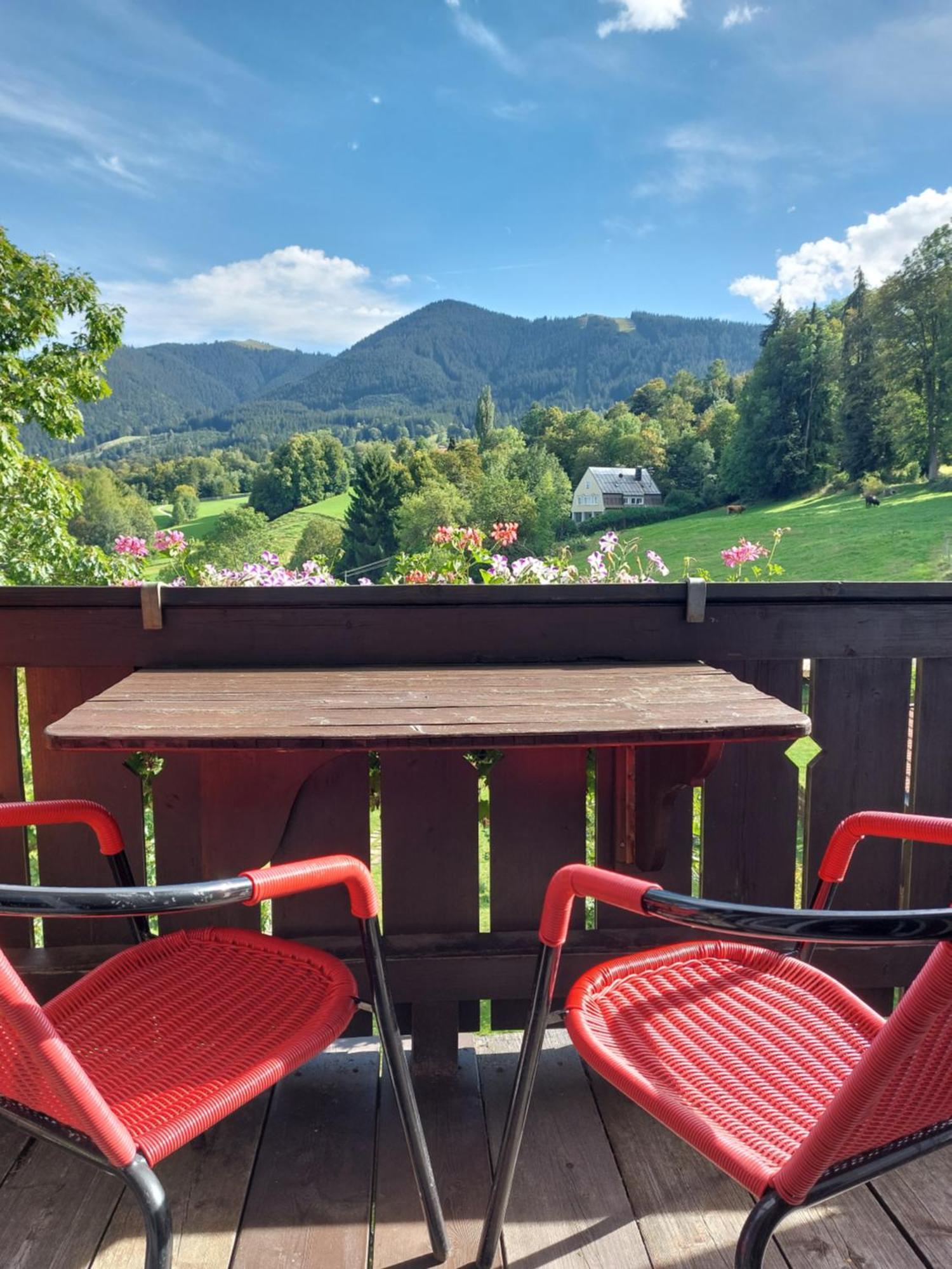 Landhaus Schoenblick Bad Kohlgrub Esterno foto