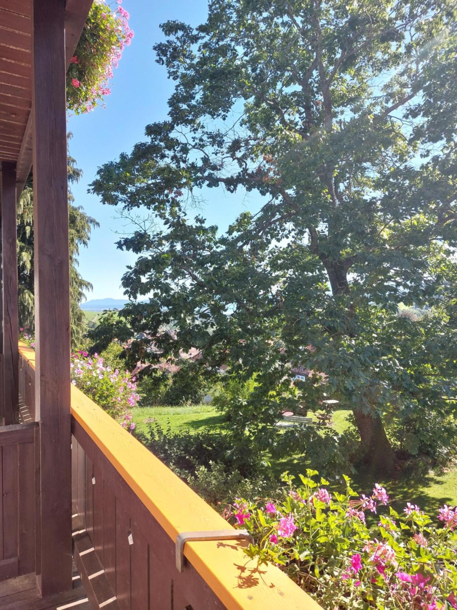 Landhaus Schoenblick Bad Kohlgrub Esterno foto